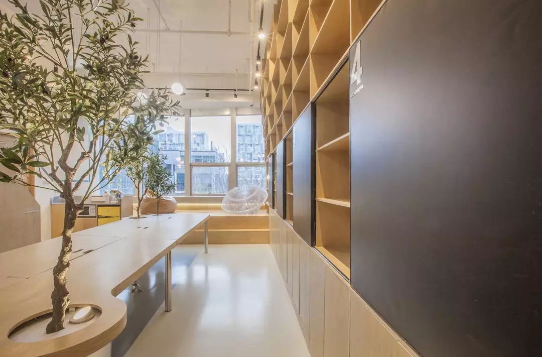 牛在墻上飛，猴子樹梢醉；這是在動物園辦公嗎？